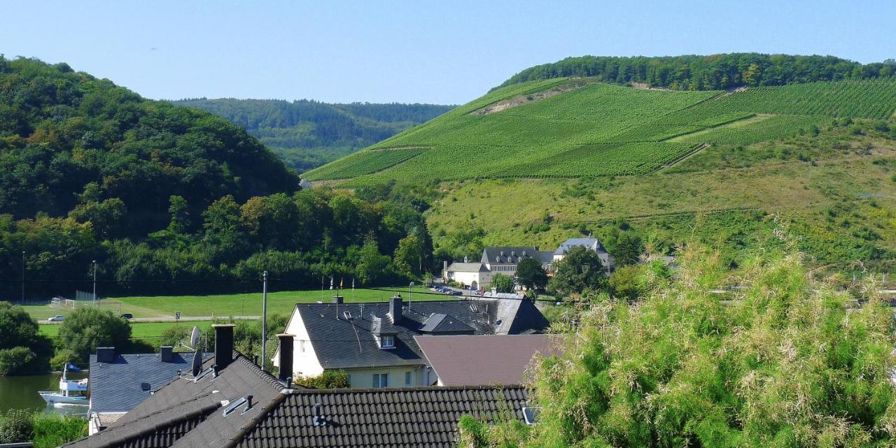 Gaestehaus Schwaab Zeltingen-Rachtig Extérieur photo